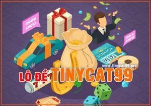 Nhà cái Tinycat99 chuyên về lô đề, casino